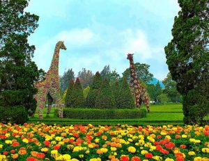 Taman Bunga Nusantara bogor