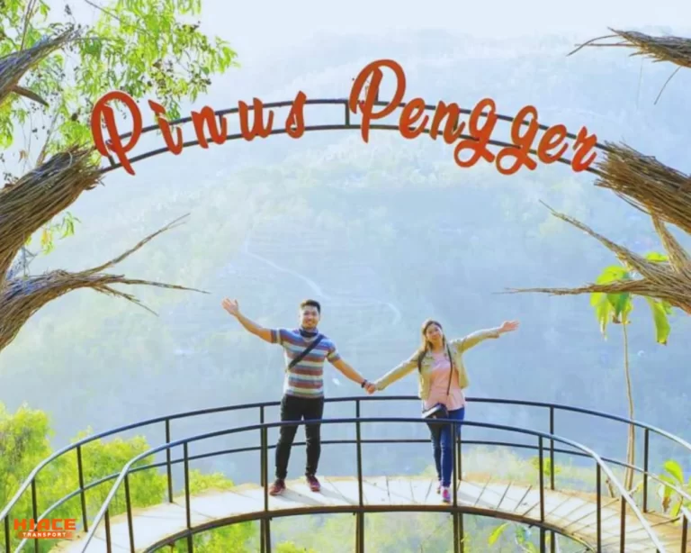 Jembatan Pandang Pinus Pengger Source by Liburan Yuk!