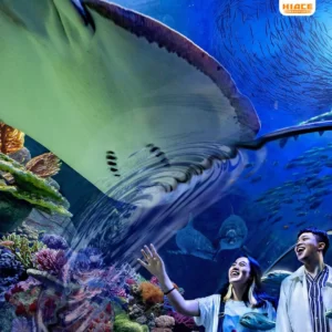 travel kebumen jakarta