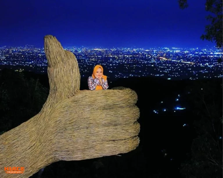 Pinus Pegger