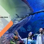 sea world ancol
