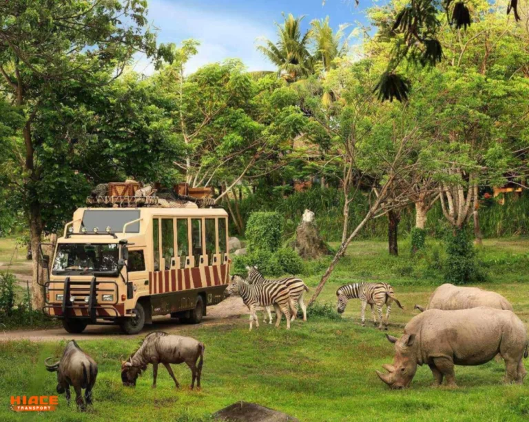 Safari Explorer Source by Bali Safari and Marine Park