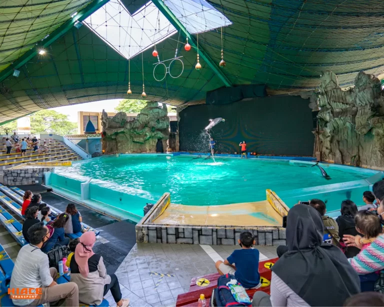 ocean dream samudra ancol