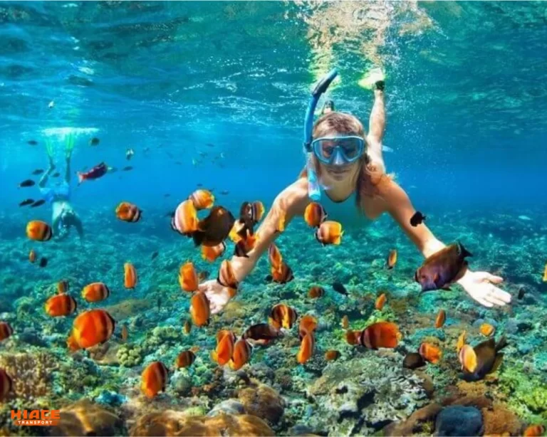 Pulau Tabuhan