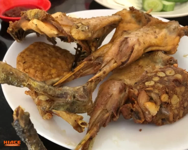 ayam bahagia cirebon