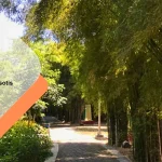 Hutan Bambu Keputih Surabaya