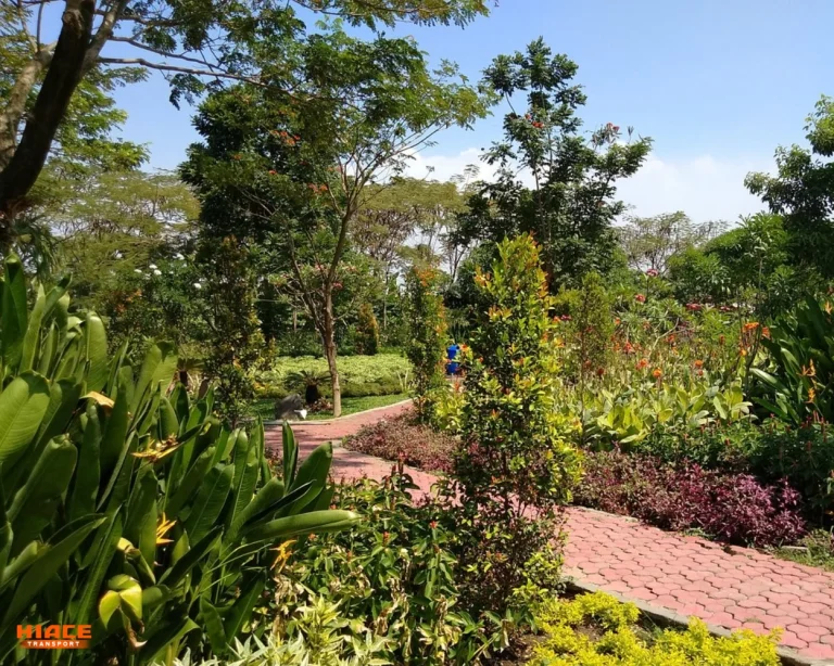 Suasana AsriSource by Tripadvisor