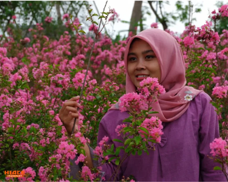 Taman BungaSource by Google Foto Dutchi Anto