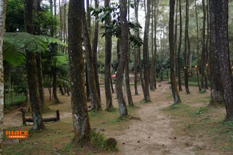 wisata cirebon kuningan