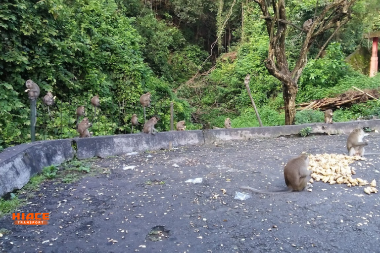Wisata Cirebon Terbaru