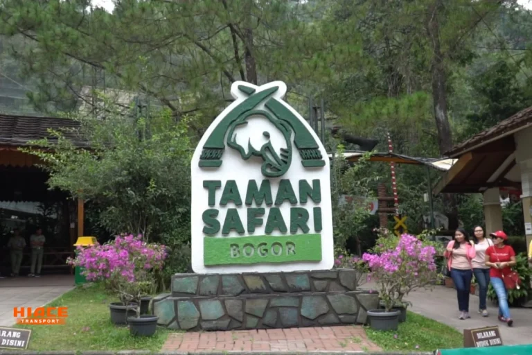 Source By the jakarta