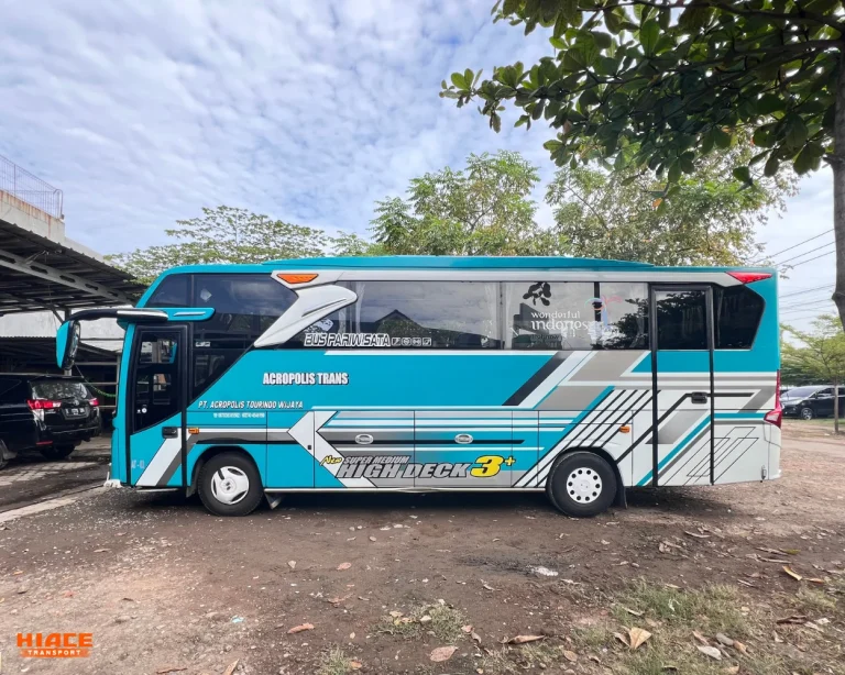 Medium Bus - Exterior