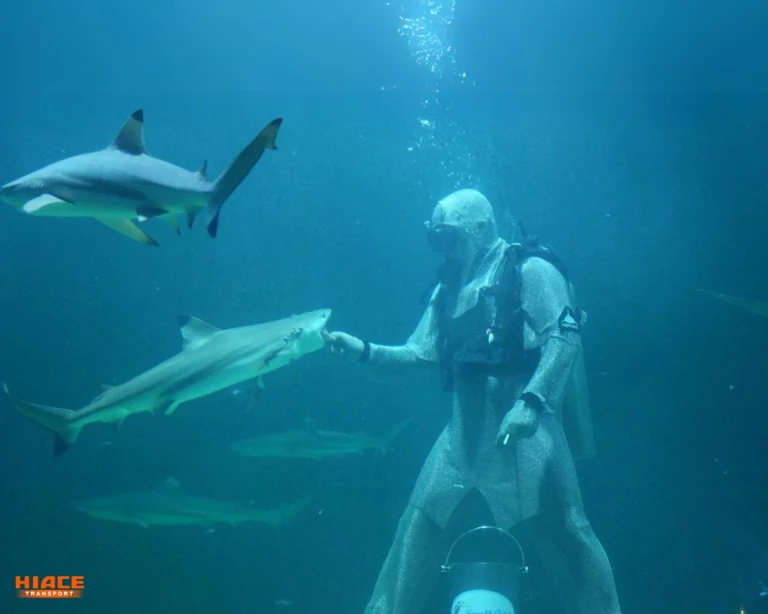 seaworld