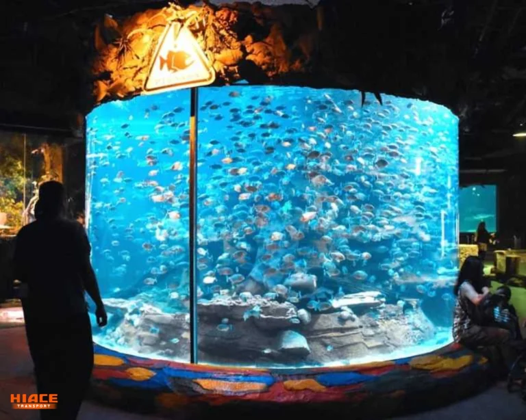 seaworld