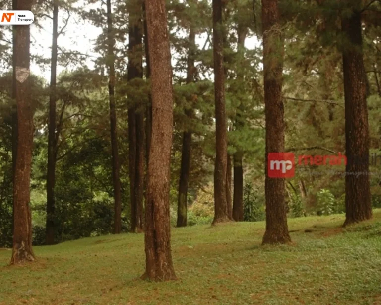 tempat camping di kuningan