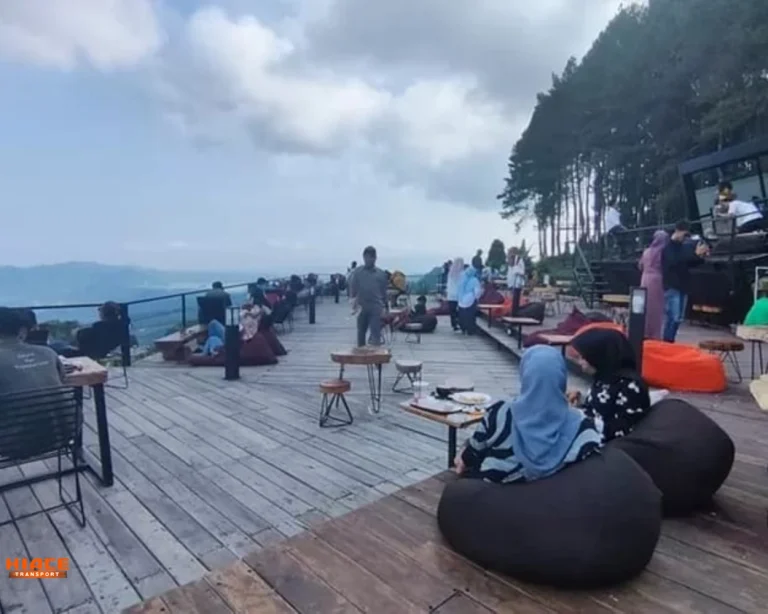 kopi botanika