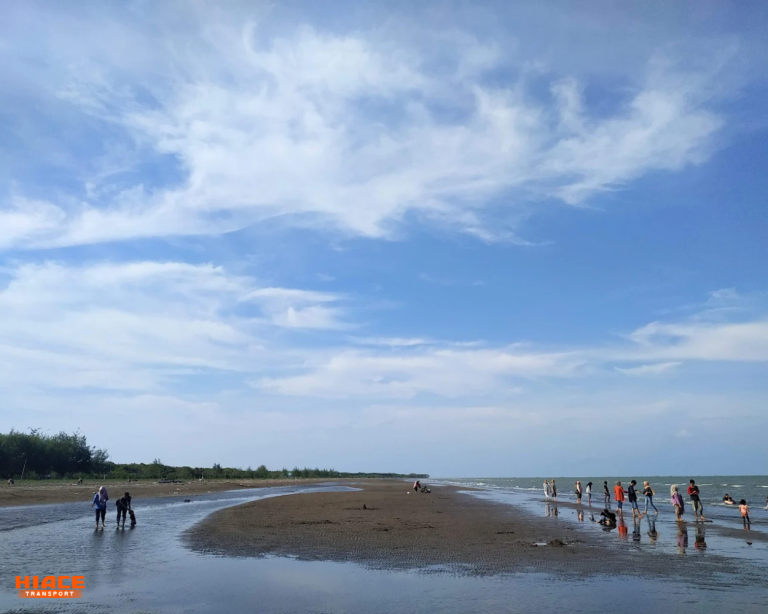 sewa elf indramayu