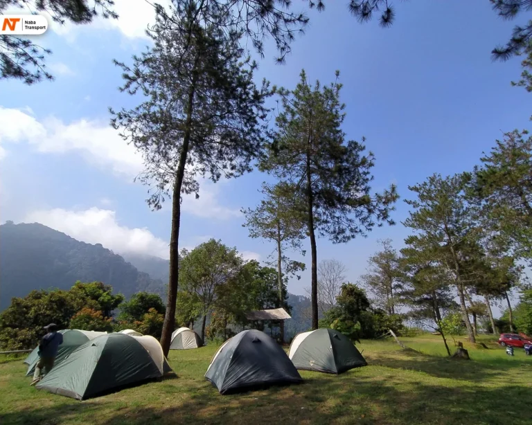 View Camping Palutungan By radarcirebontelevisi