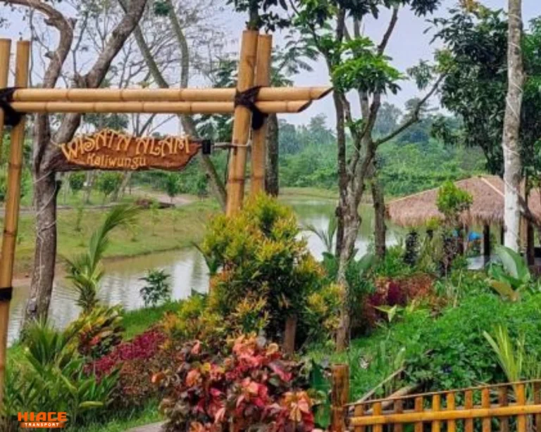 Wisata alam kaliwungu