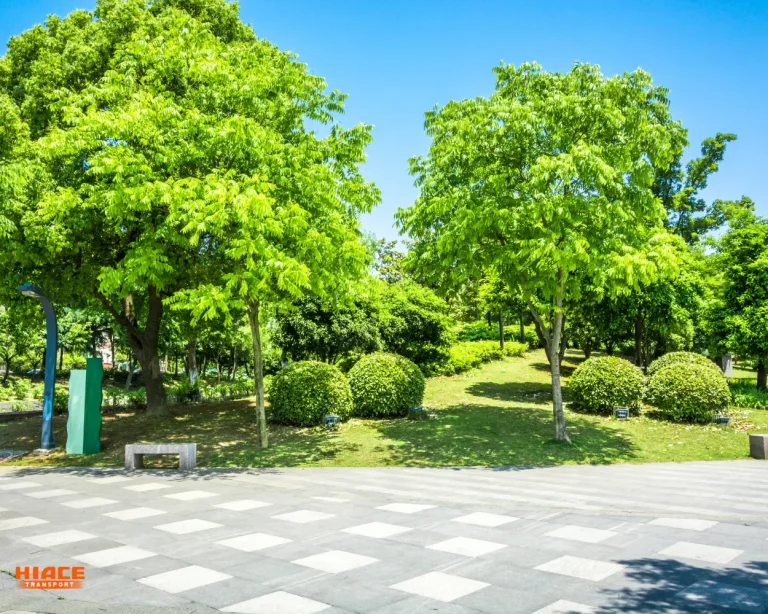 Area lapangan rumput hijau yang sejuk source by mustikaland.com