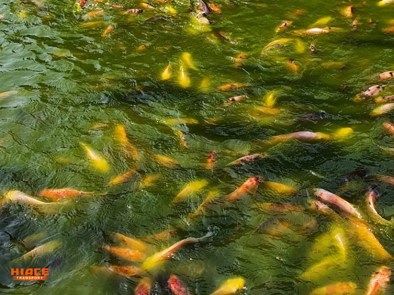 Gubug Makan Mang Engking Bekasi