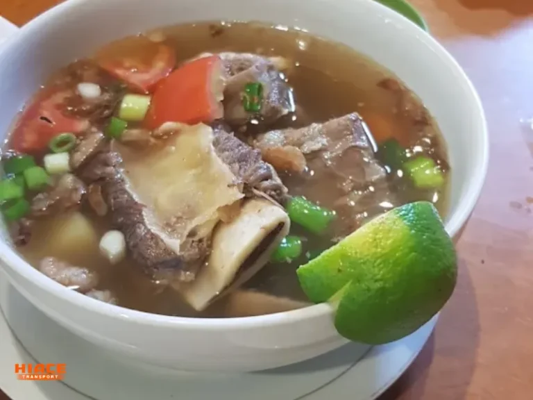sop iga source by ria rahman-