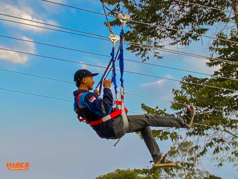 Flying Fox source by noah's park