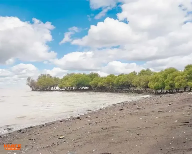 Keindahan Pantai Muara Beting source by pantaipedia,com