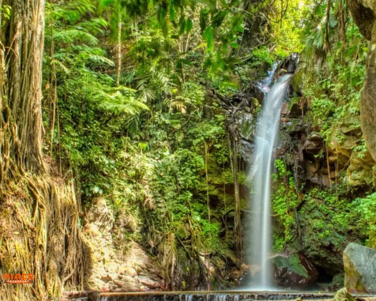 Curug Putri Palutungan