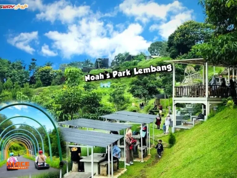 Noah's Park