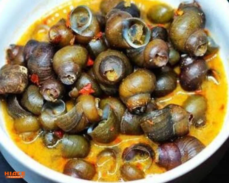 tutut