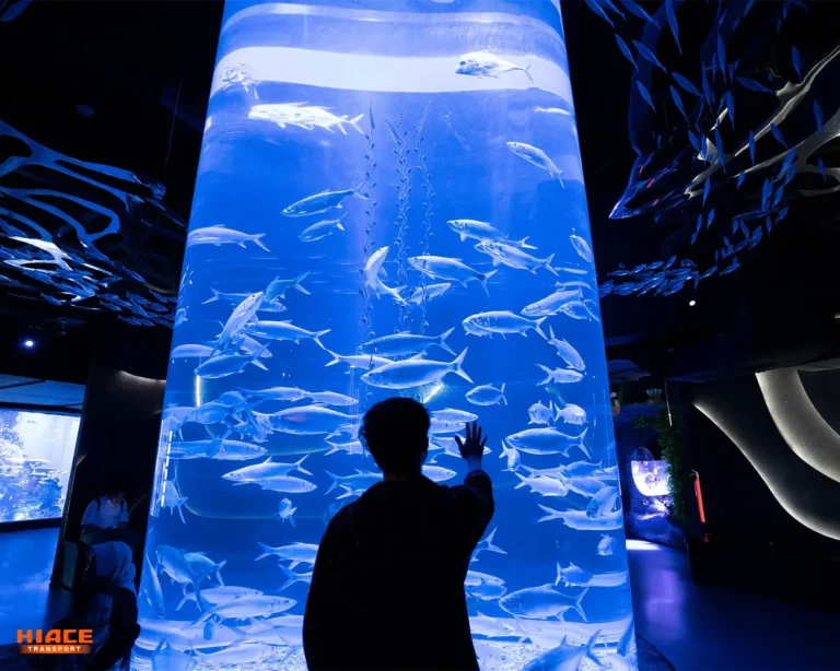 Aquarium Jakarta