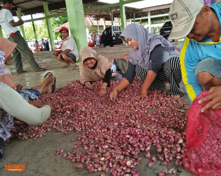 Penjual bawang merah by media indonesia