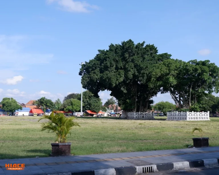 Pohon bringin kembar by muhamad raufan