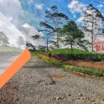 Wisata Agro Kaligua
