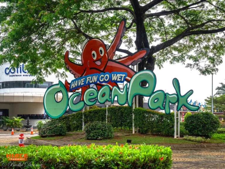 Ocean Park BSD
