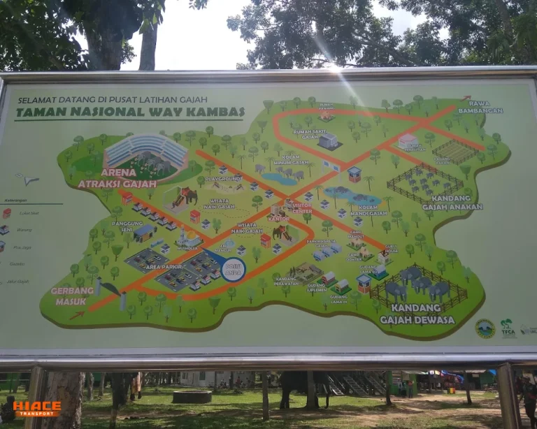 taman nasional way kambas
