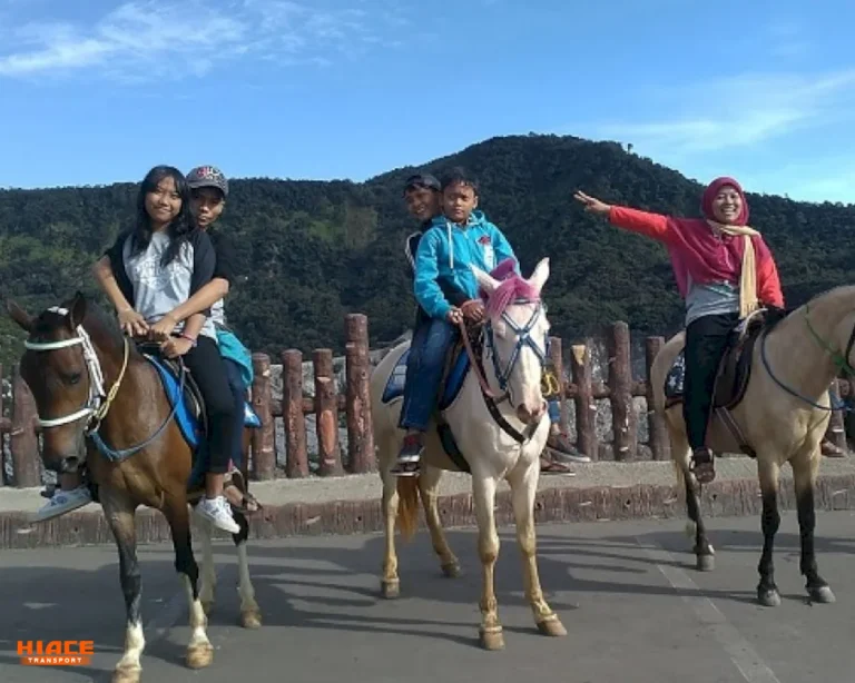 Photography and Horseback Source By Rakyatku.com Riding