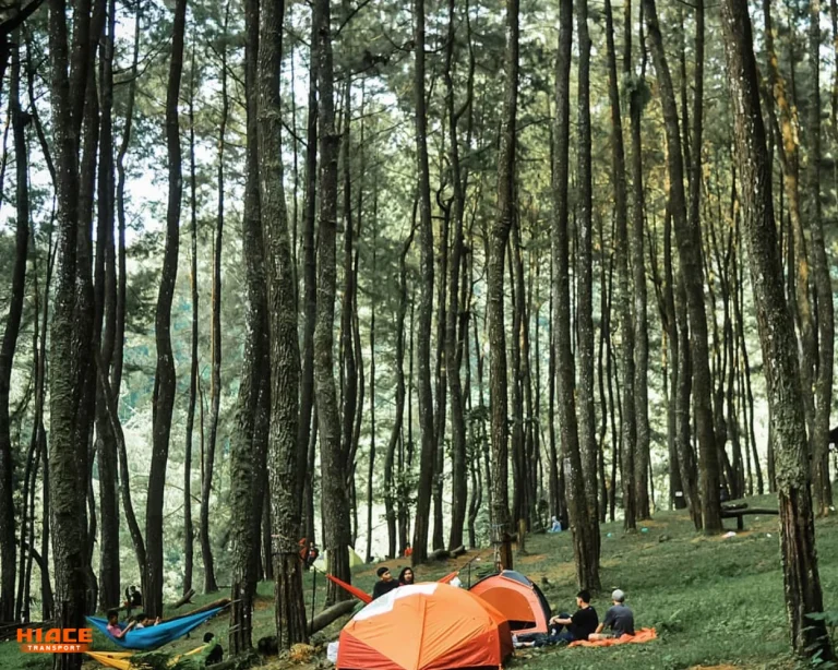 Piknik Santai di Area Rindang source by getlost.com