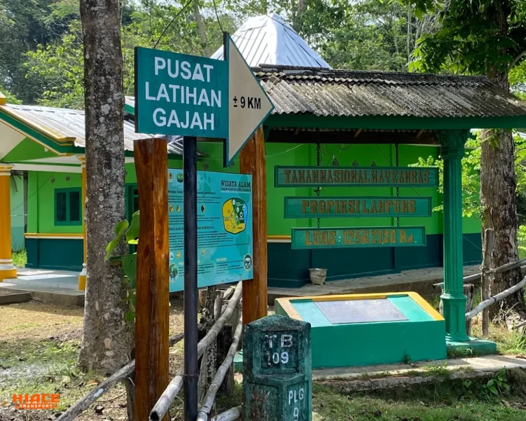 Pusat pelatihan by steve noakes