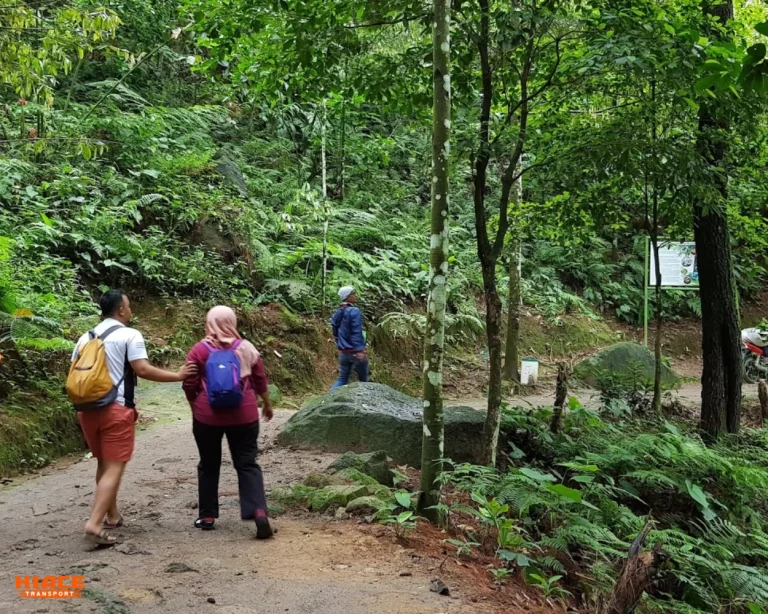 Trekking di Hutan Pinus curug source by getlost.com