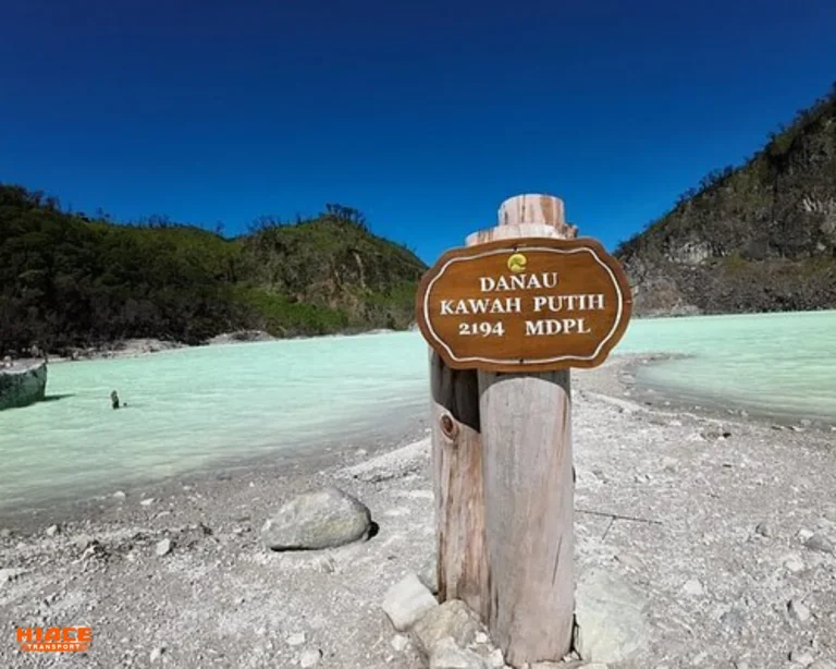 View Source By Tripadvisor