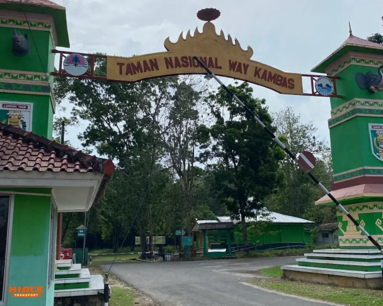 taman nasional way kambas by steve noakes