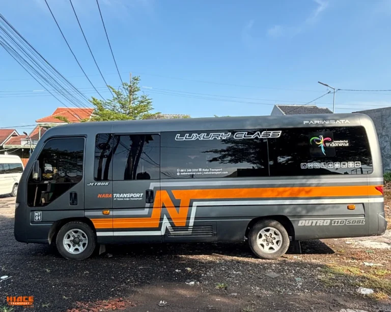 Sewa elf - tampak samping