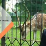 Taman Kemang Pratama