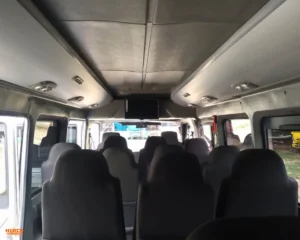 Elf Long Interior 2