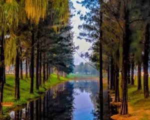 bekasi ke cikarang