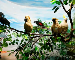 Museum Zoologi Source by We