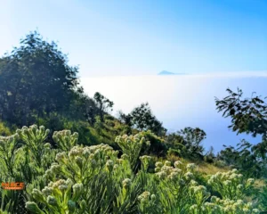 Taman Nasional Gunung Ciremai Source by Syaehu Ali