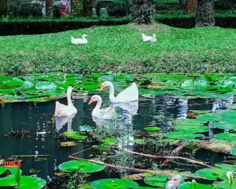taman langsat